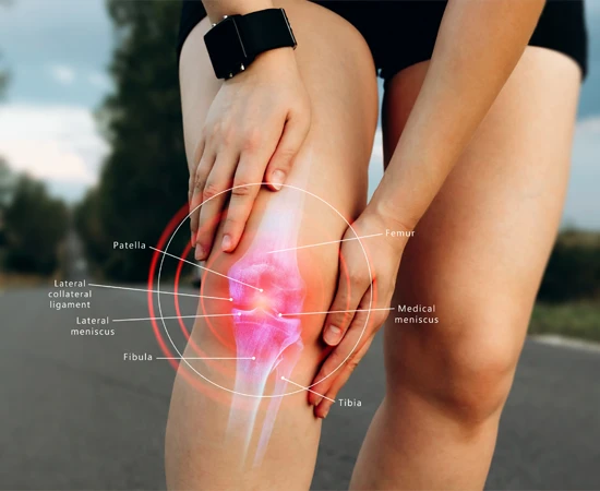 Knee Pain Louisville KY Knee Diagram Knee Pain Louisville KY Knee Diagram